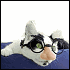images/avatars/avatar-49.gif