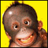 images/avatars/avatar-55.gif