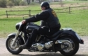 images/avatars/avatar-5584.jpg