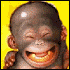 images/avatars/avatar-57.gif
