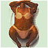 images/avatars/avatar-60.gif