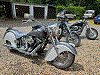 images/avatars/avatar-9562.gif